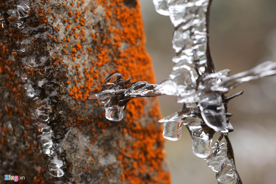 Cận cảnh băng giá kỳ thú ở Sa Pa